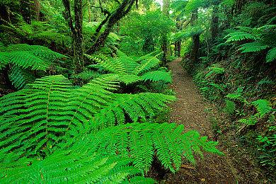 SE新策略RPG《Emberstoria》将于11月27日在日本发布